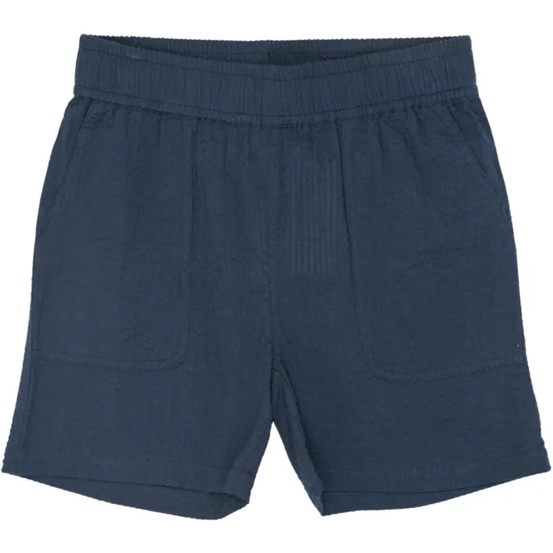 The New Navy Blazer Tntim Shorts 1