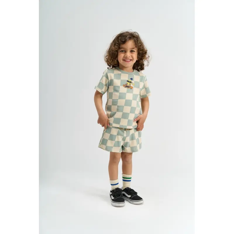 The New Siblings Aqua Gray Aop Tnstsebastian Os S_S Tee 2