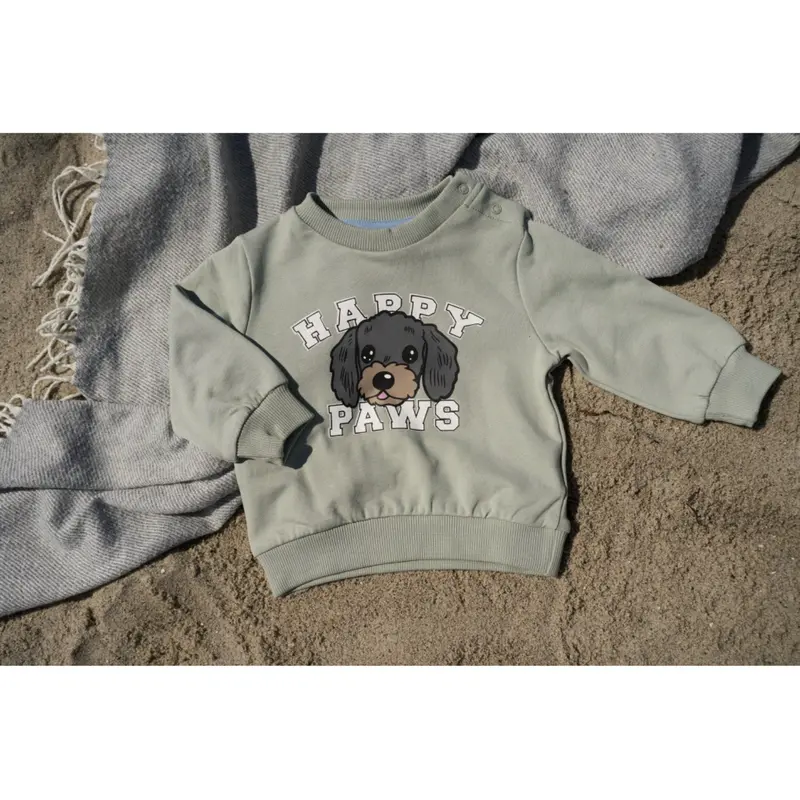 The New Siblings Aqua Gray Tnsbsacarias Sweatshirt 2