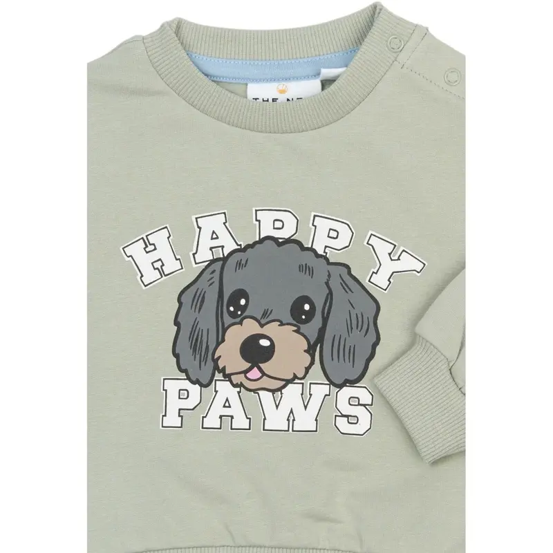 The New Siblings Aqua Gray Tnsbsacarias Sweatshirt 3