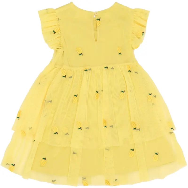 The New Siblings Dusky Citron Emb Tnstsvea S_L Dress 4