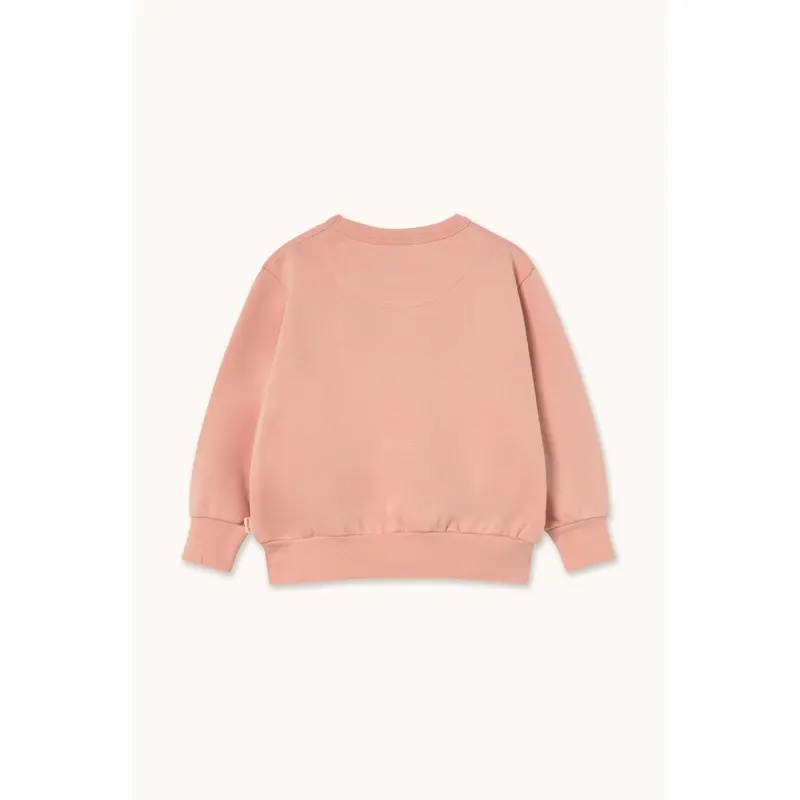 Tinycottons Wild Rose Walk Graphic Sweatshirt 3