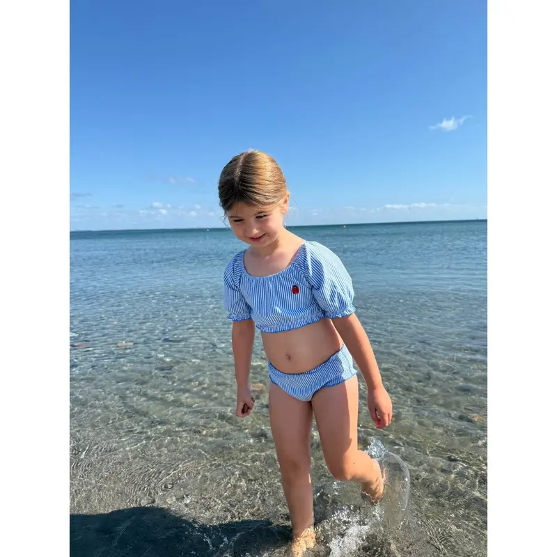 Vanilla Copenhagen Blue Ladybug Bikini Seersucker 3