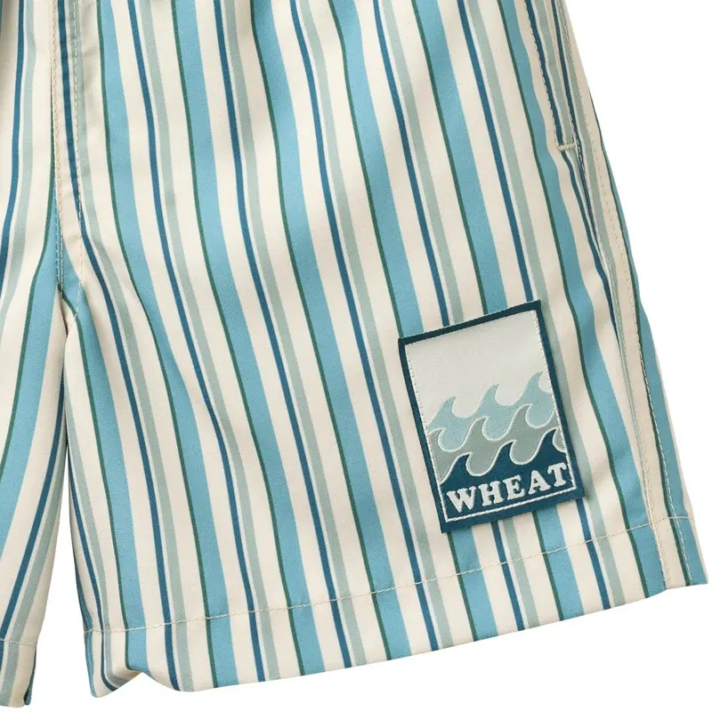 Wheat Aqua Stripe Swim Trunk Hansi Badge 3