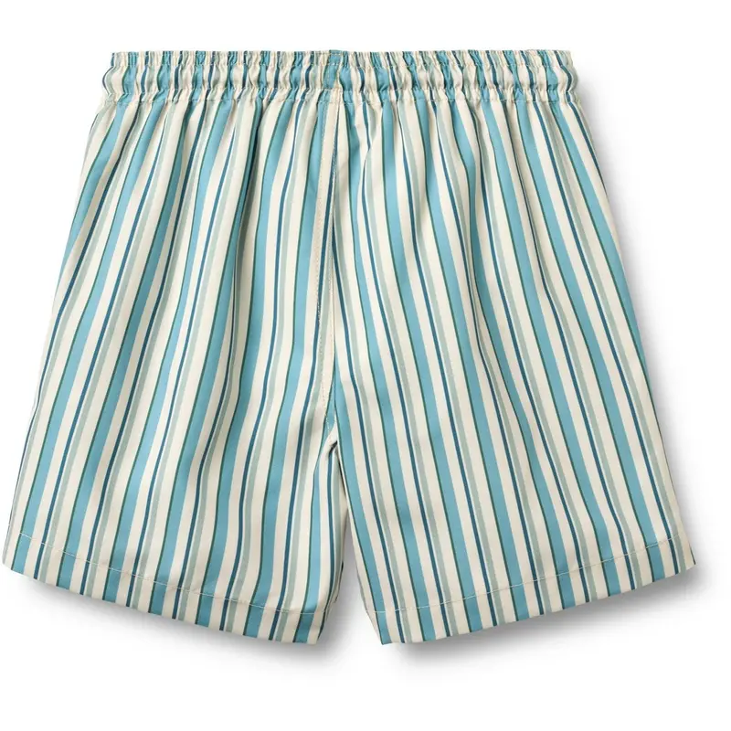 Wheat Aqua Stripe Swim Trunk Hansi Badge 4