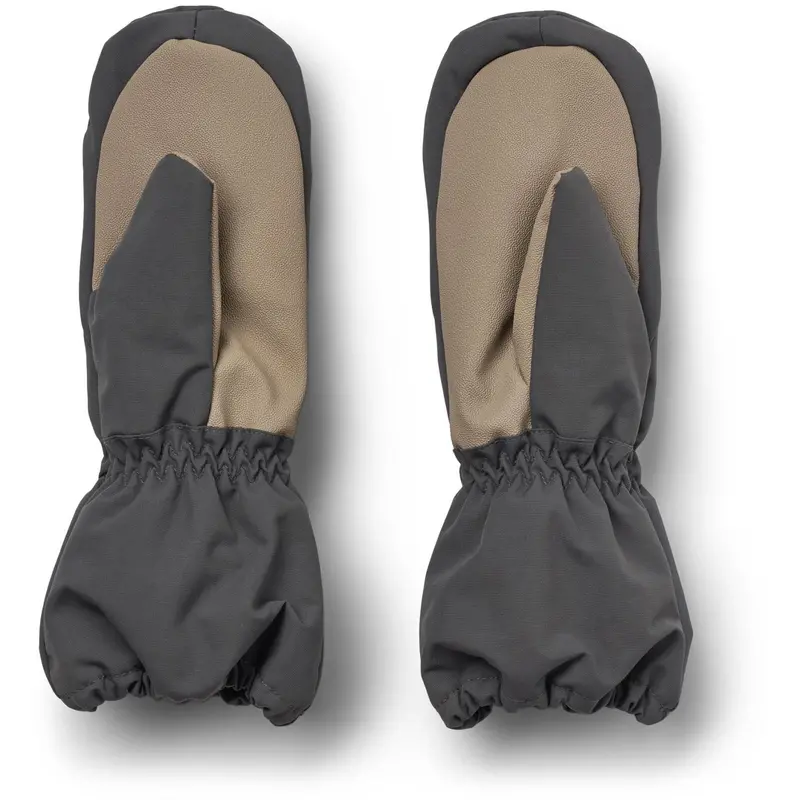 Wheat Black Sea Vanter Monta 2