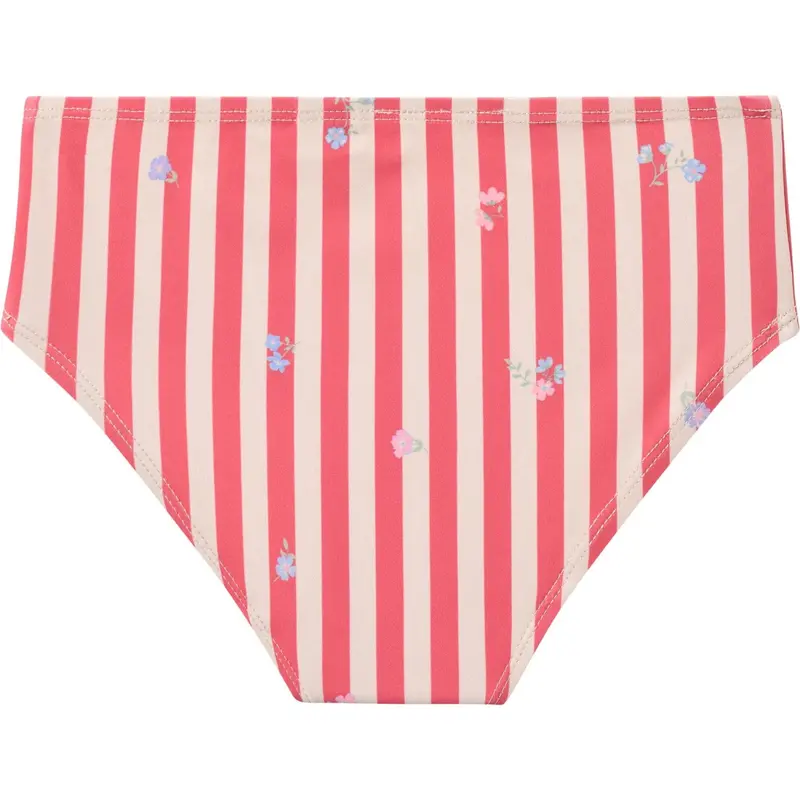Wheat Red Stripe Flowers Bikini Carla 5