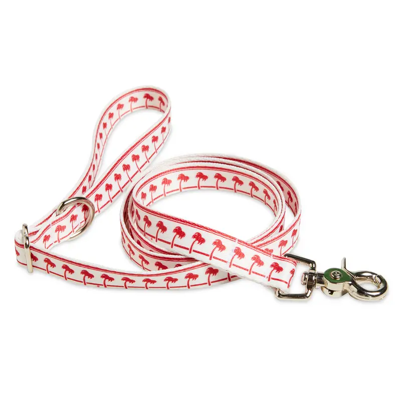 White Dog Leash 1